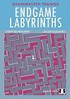 Endgame Labyrinths by Jacob Aagaard and Steffen Nielsen